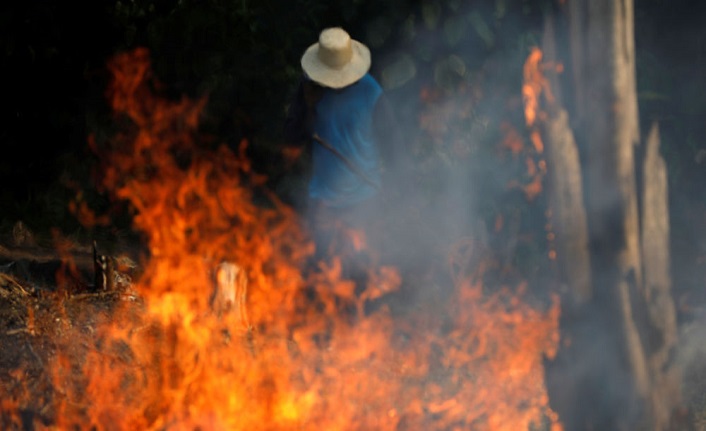 Brezilya'da Bolsonaro etkisi: Amazon ormanları yangınlarla yok olma noktasında