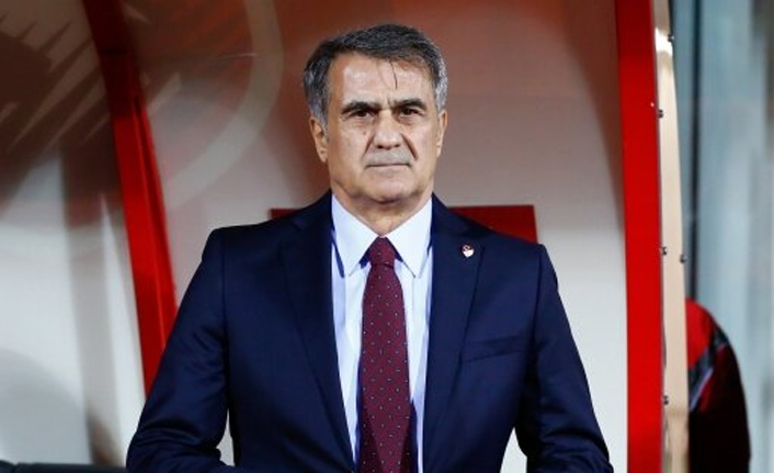 Şenol Güneş ile Nihat Özdemir görüşecek