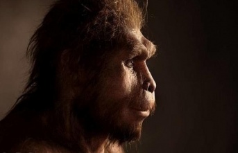 Modern insanın atası, 1.6 milyon yıl Endonezya'da...