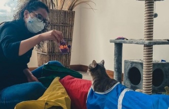 İlk kedi okulu Ekvador’da açıldı